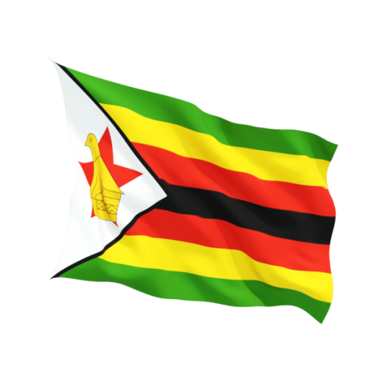 Steag Zimbabwe