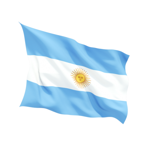 Steag Argentinа